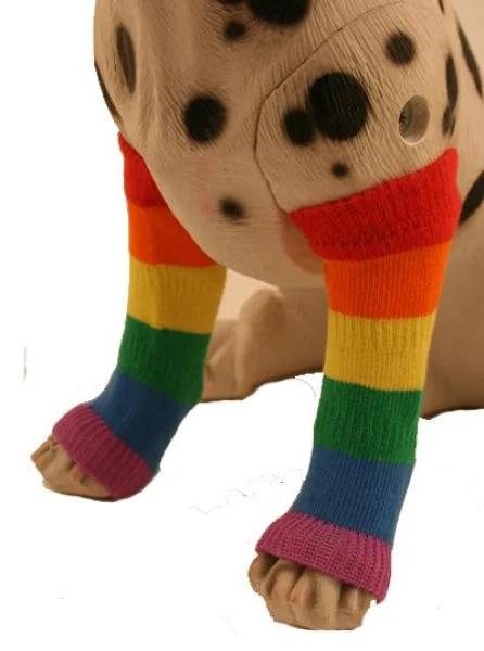 Pride Dog Leg Warmers