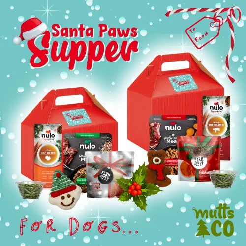 Santa Paws Supper - Dog