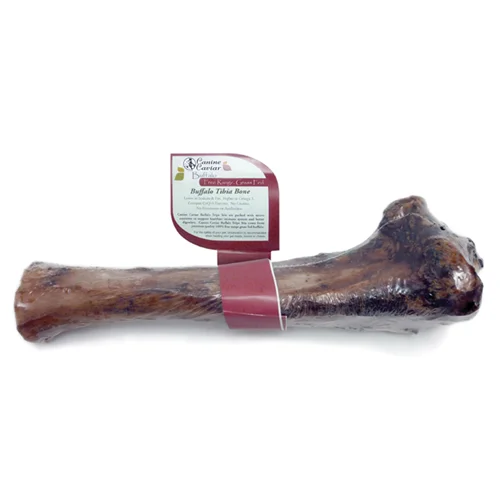 Canine Caviar Buffalo Tibia Bone