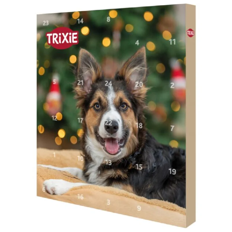 Christmas Advent Calendar for Dogs