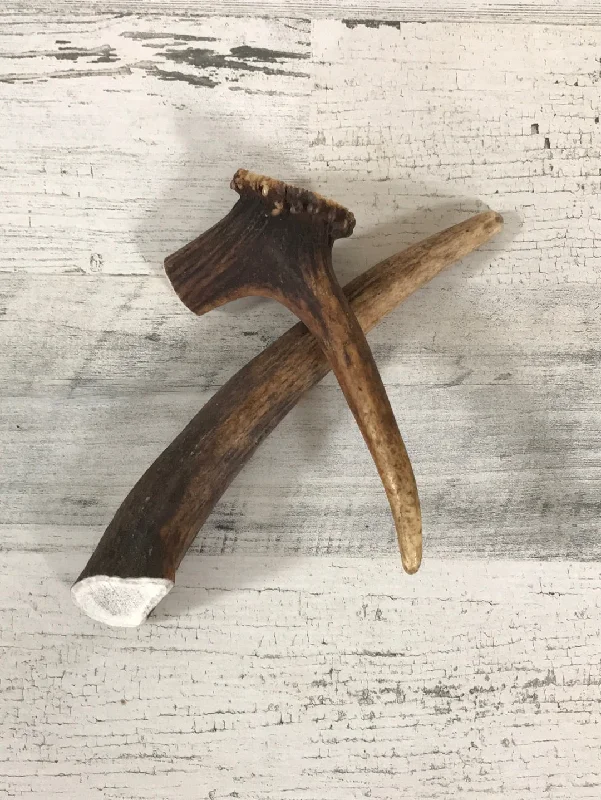 Ecokind Grade A Whole Elk Antler Tips