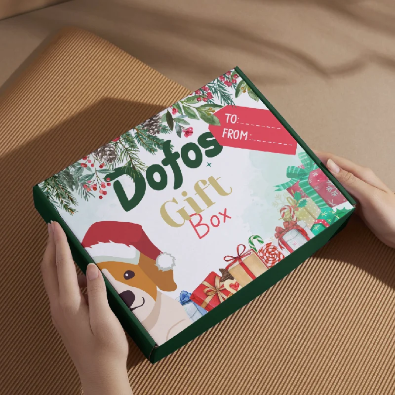 Dog Festive Gift Box 🎅