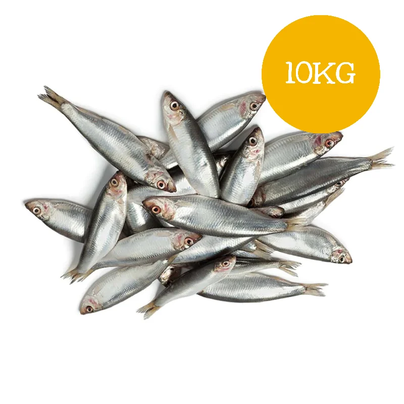 Frozen Sprats Bundle