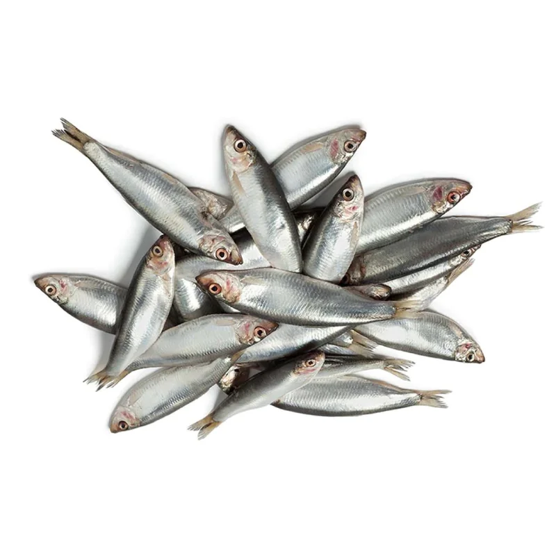 Frozen Sprats