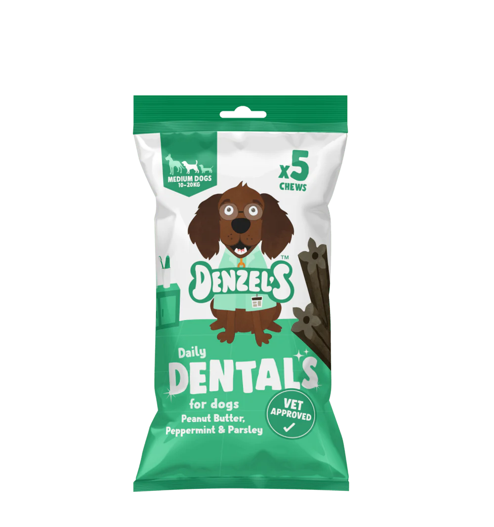 Natural Vegan Daily Dentals Peanut Butter Peppermint & Parsley - Plastic Free