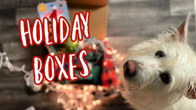 The Holiday Boxes