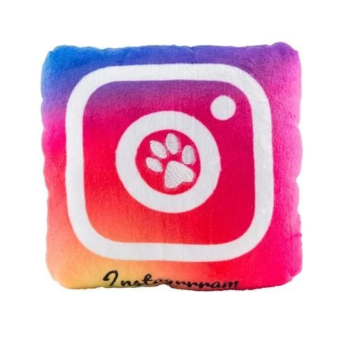 Instagrrram Dog Toy