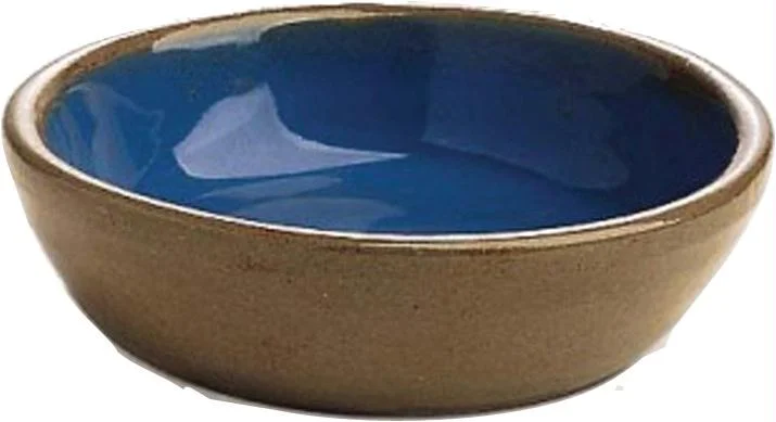 Cat-reptile Stoneware Saucer