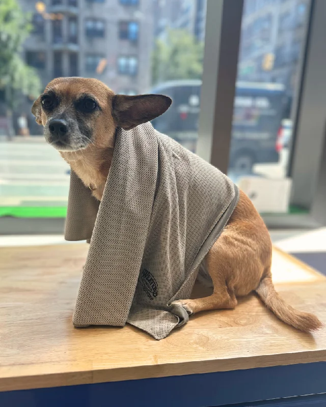 Cooling Dog Towel (24"x36") (FINAL SALE)