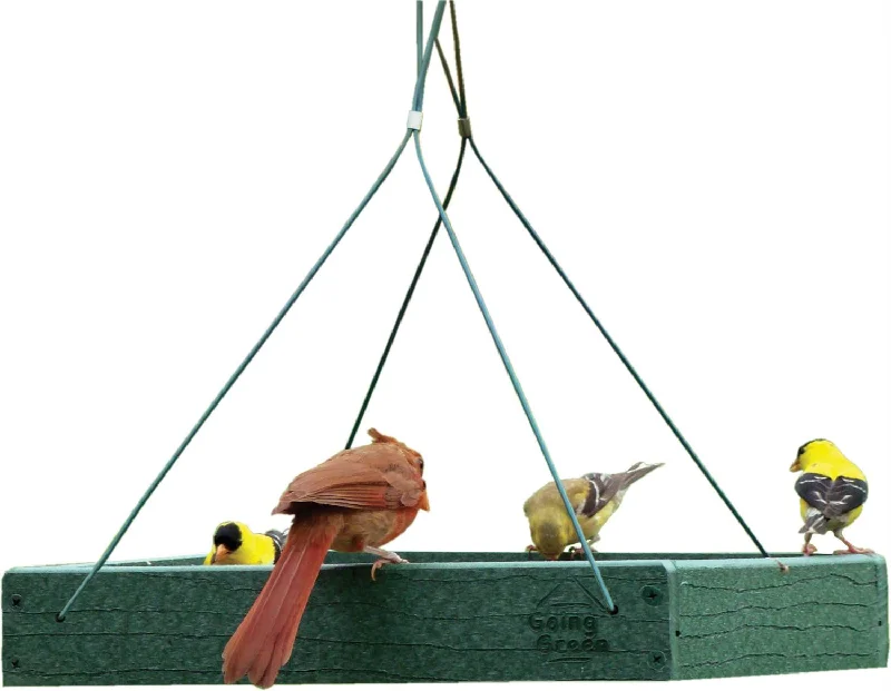 Going Green Hanging Platform Feeder