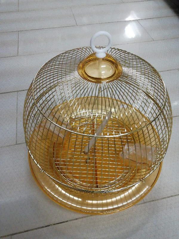 Gold Bird Cage