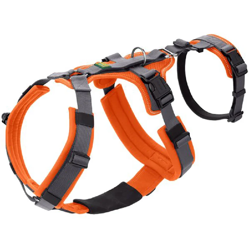 Hunter Maldon Safety Harness for Dogs (Orange)