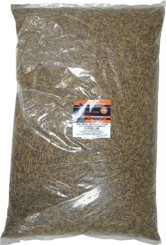 Mealworm To Go Dried Mealworm Wild Bird Food