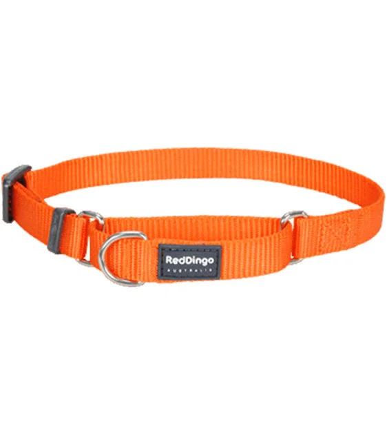 Red Dingo Martingale Choke Prevention Dog Collar (Orange)