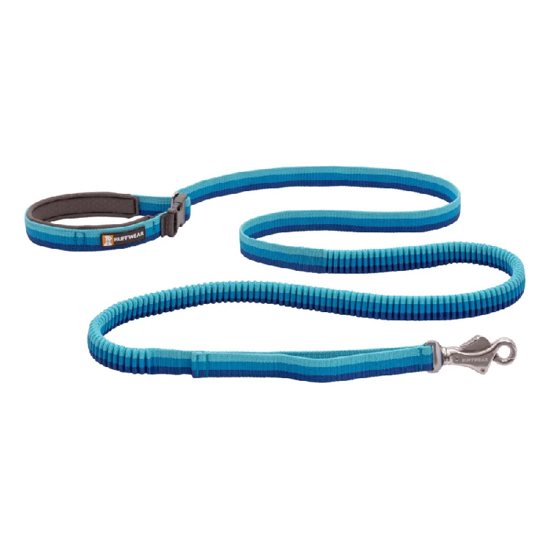 Ruffwear Roamer Bungee Leash for Dogs (Blue Atoll)