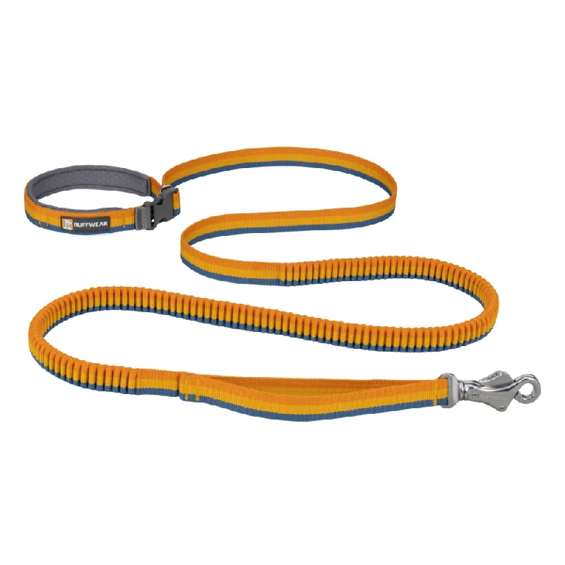 Ruffwear Roamer Bungee Leash for Dogs (Yellow Snow)