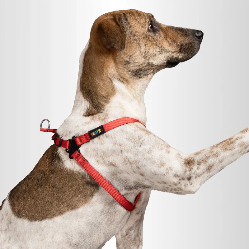 Skatrs Padded Nylon Y Harness for Dogs & Cats (Red)