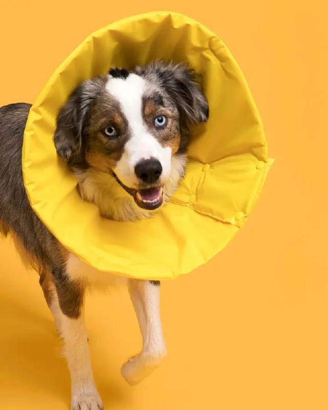 Premium Soft Pet Recovery Cone (Made in the USA) (FINAL SALE)